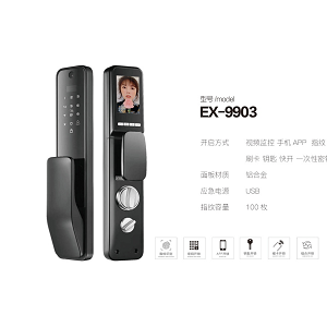 尔旭大宅智能门锁EX-9903