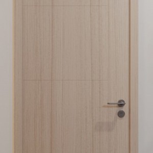  TATA wooden door T013 single door
