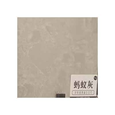 蚂蚁灰图1
