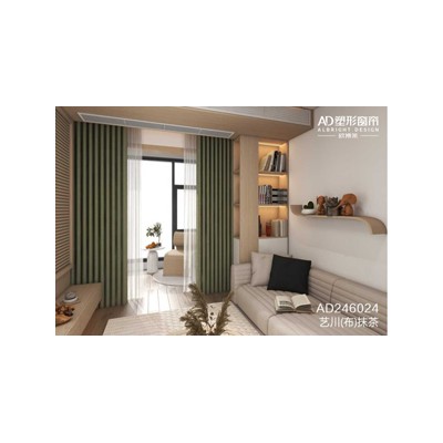 AD246024图1