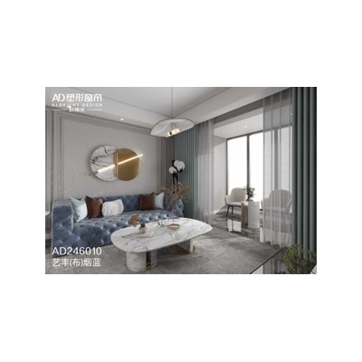 AD246010图1